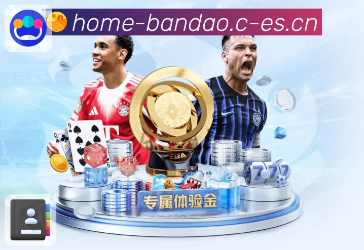 半岛体育服务体验与长期运营